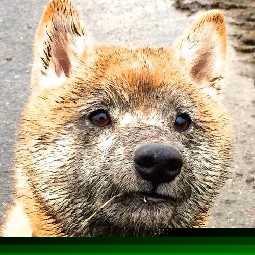 新王当立！西班牙青春风暴冲垮欧洲红魔，帕尔默惊艳四座预示足坛变局