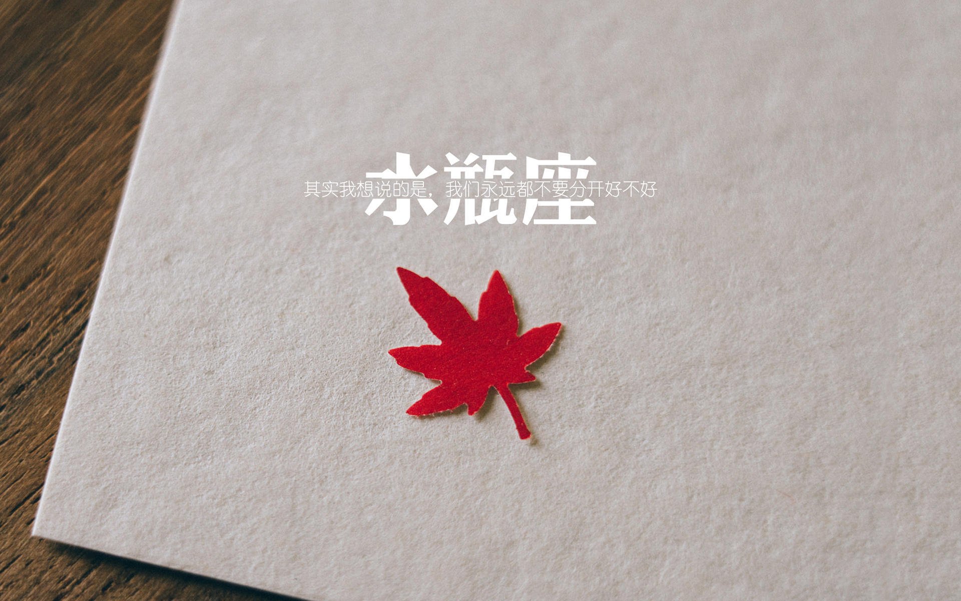 新王当立！西班牙青春风暴冲垮欧洲红魔，帕尔默惊艳四座预示足坛变局