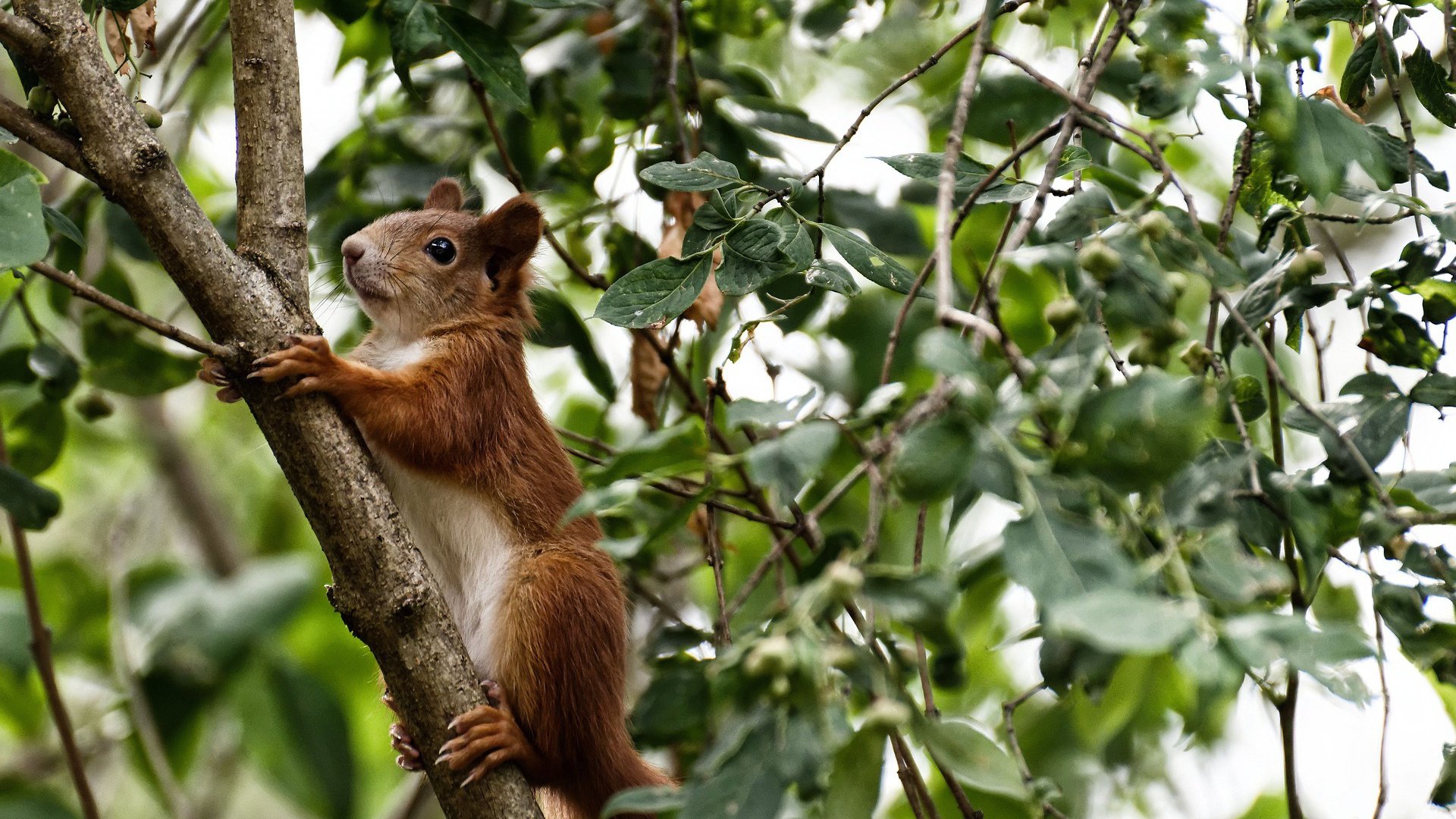 凯恩用实力证明自己，塞维利亚终结摩洛哥—当个人英雄主义与团队荣耀交织的足球之夜